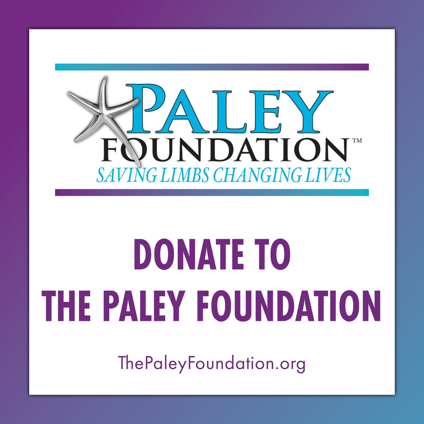 Donate to The Paley Foundation