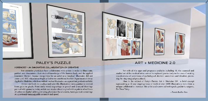 Paley's Puzzle | Art + Medicine 2.0